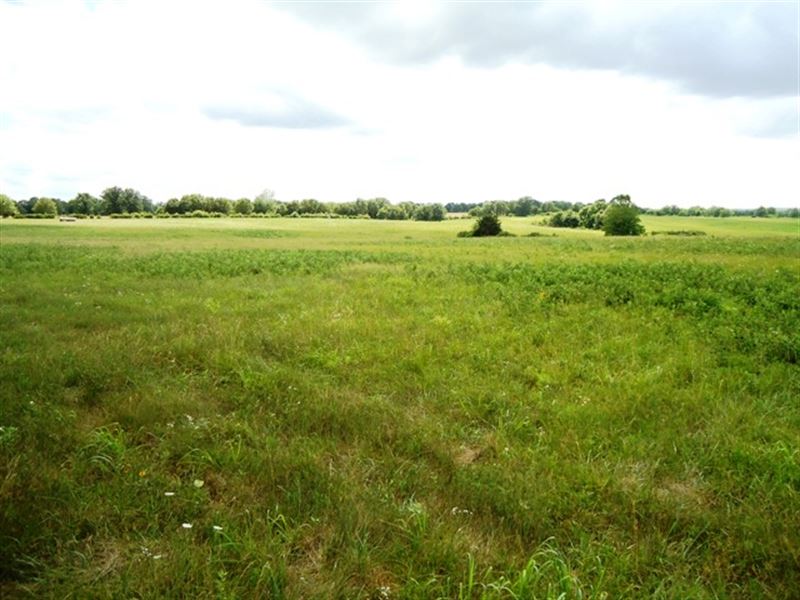 Farm Land for Sale in Southern Mo : Mansfield : Wright County : Missouri