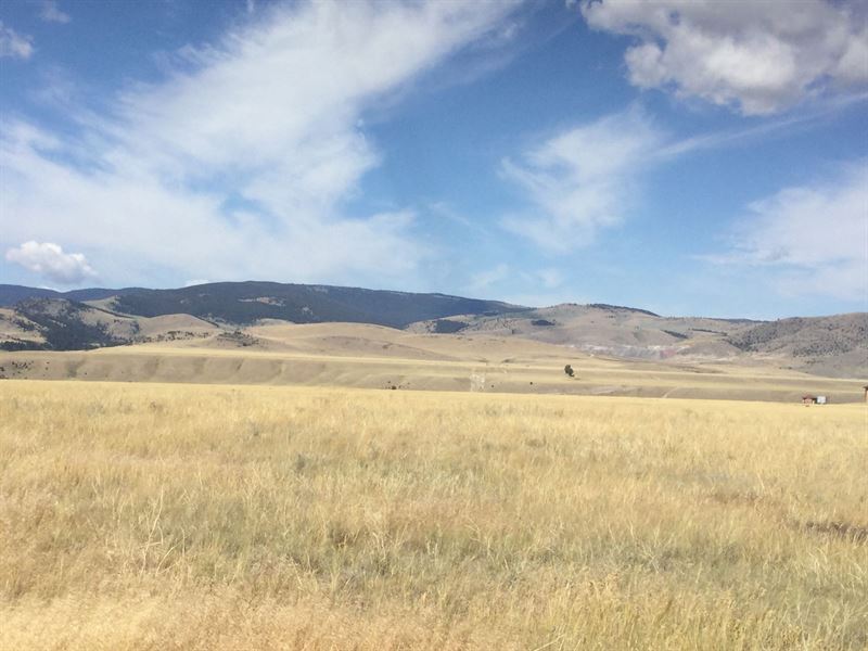 Parcel 8 Madison River Tracts : Cameron : Madison County : Montana