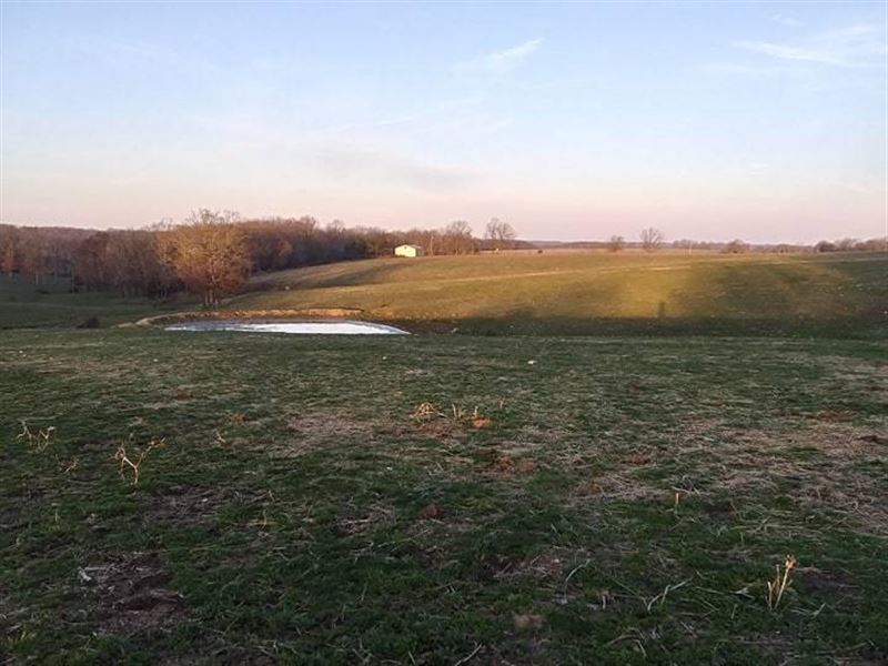Mostly Open Farm/Ranch, Rd Frontage : Mountain Grove : Wright County : Missouri
