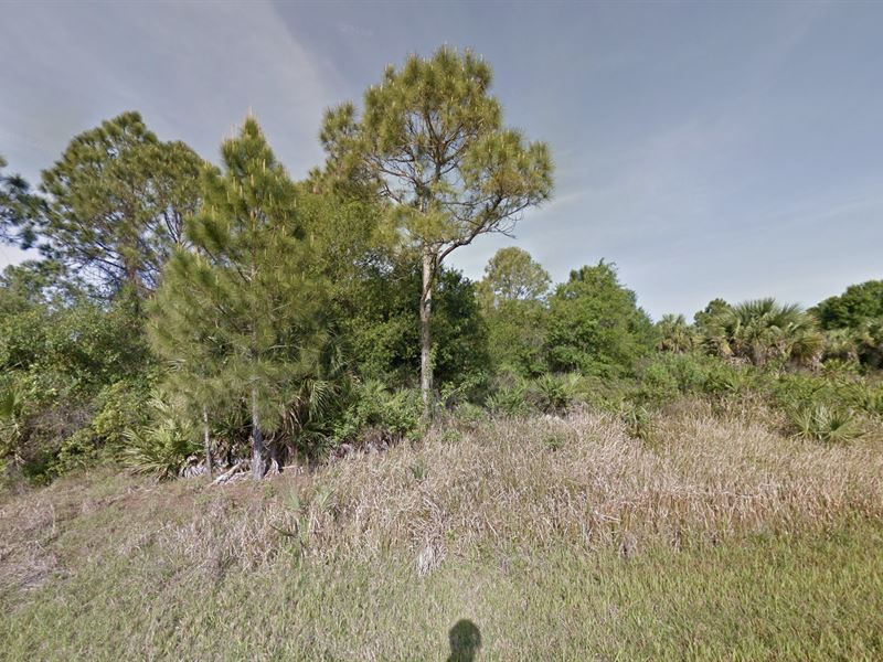 Off Grid Living, Camp Or Investment : North Port : Sarasota County : Florida