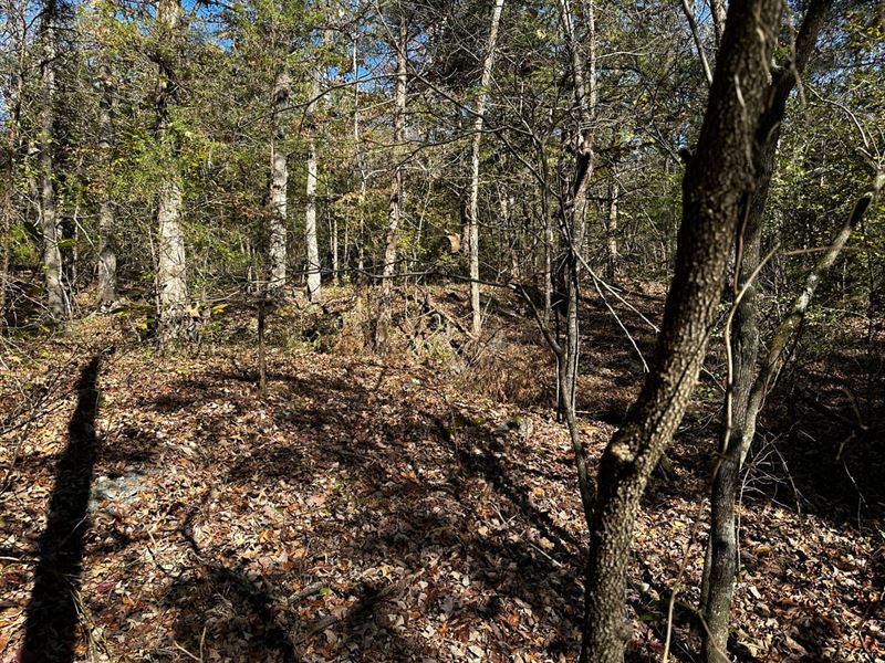 Lot in Deer Run Subdivision, Evenin : Evening Shade : Sharp County : Arkansas