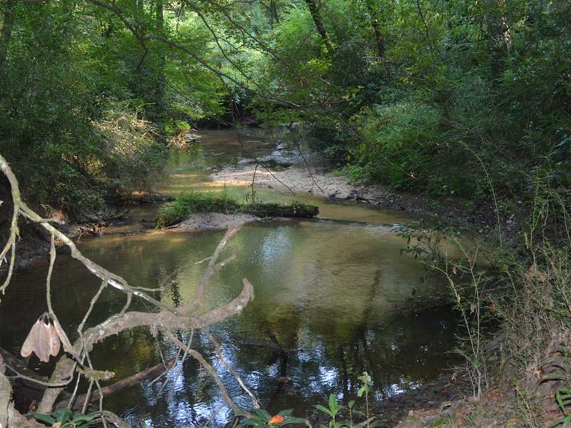 188 Acres Hunting And Timberland : Land for Sale in Gillsburg, Amite