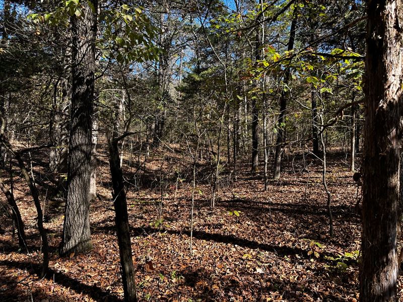 Lot in Deer Run Subdivision, Evenin : Evening Shade : Sharp County : Arkansas