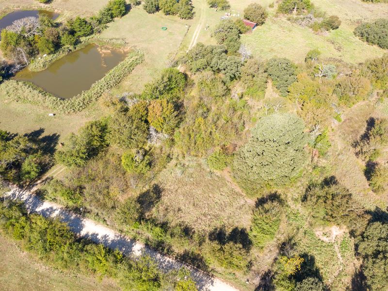 Gorgeous 1.0 Acre Land : Kerens : Navarro County : Texas