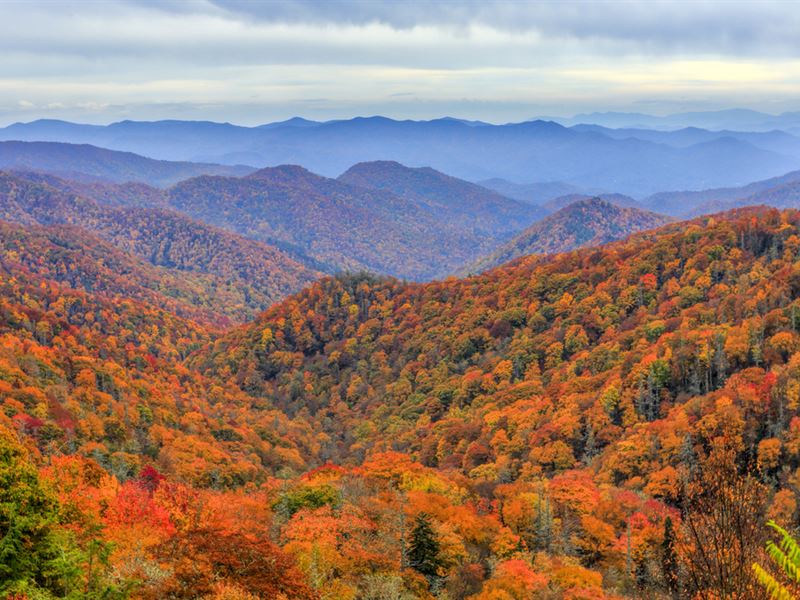 Asheville Mountain Estates Land for Sale in Asheville,