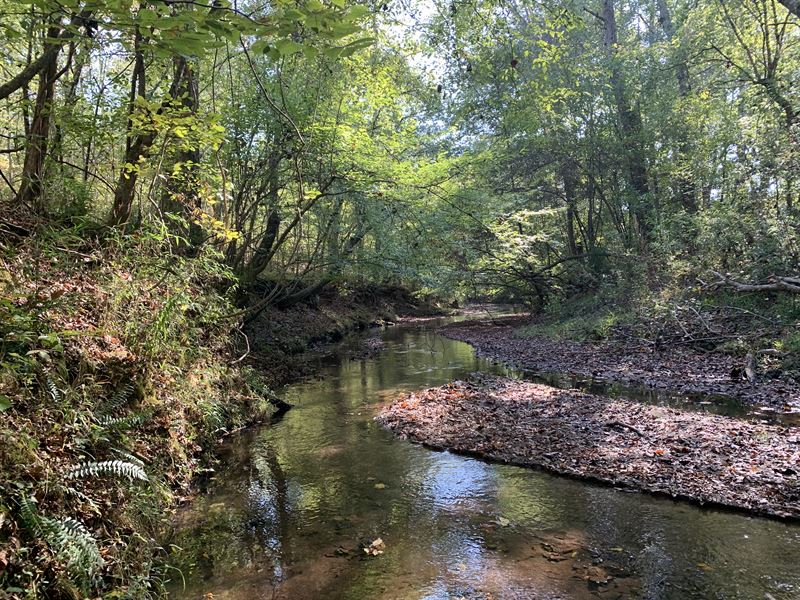 Wolfskin Farm : Arnoldsville : Oglethorpe County : Georgia