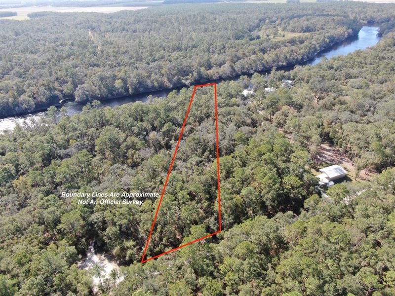 Amazing 1.9 Acre Lot On The Beautif : O'brien : Suwannee County : Florida