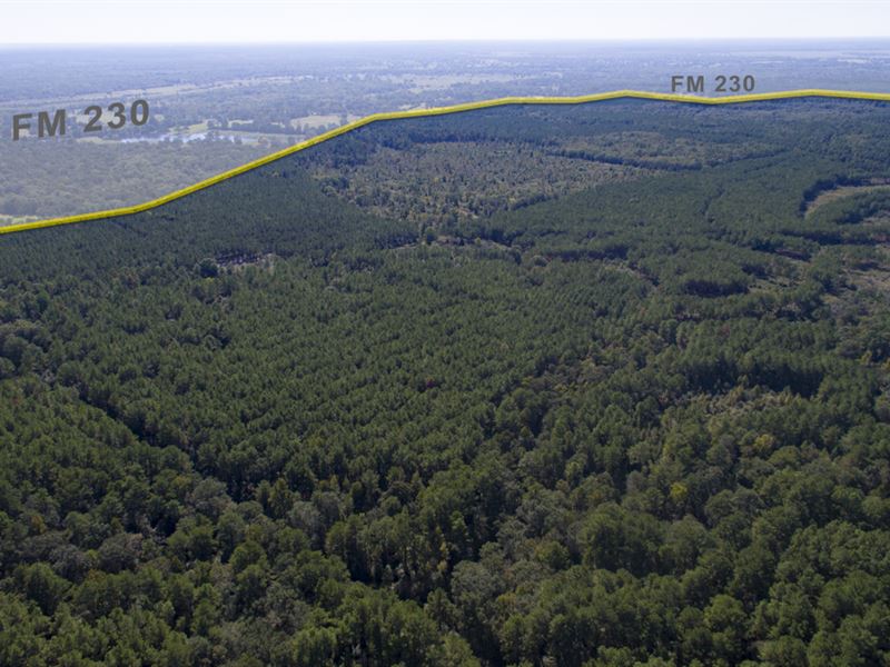 931 Acres Fm 230 Tract 7 : Trinity : Houston County : Texas