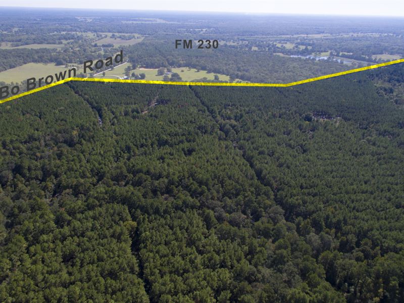185 Acres Bo Brown Rd Tract 4 : Trinity : Walker County : Texas