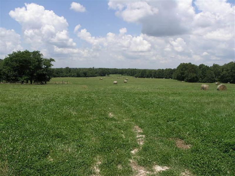 Good Fences, Ponds, Cattle Ready : Hartville : Wright County : Missouri