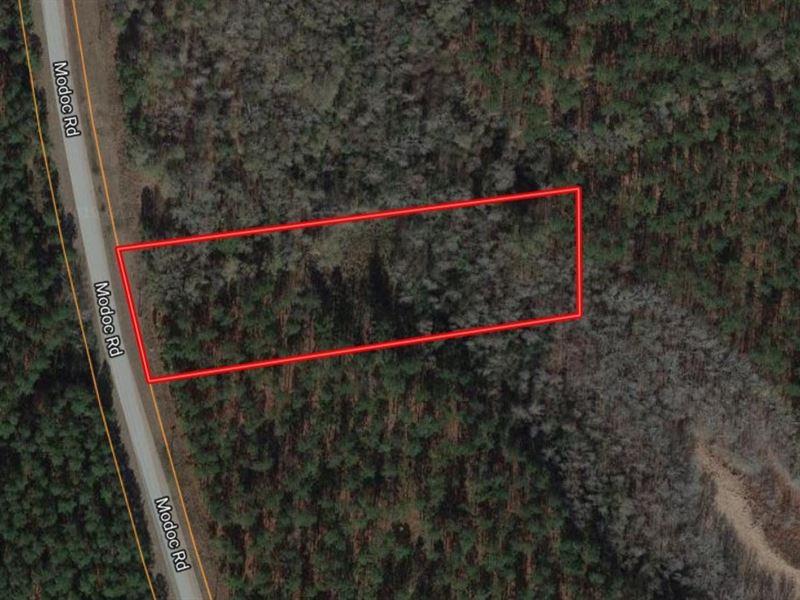 3 Acres of Land in Swainsboro, GA : Swainsboro : Emanuel County : Georgia