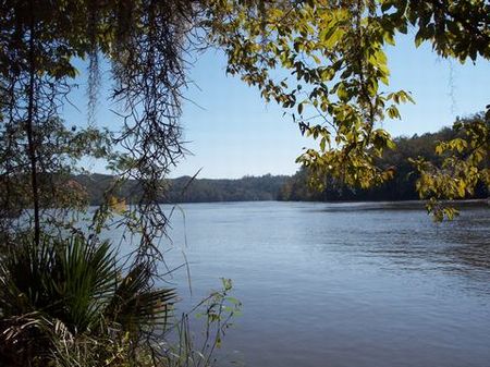 3.6 +/- Ac On Lake Jordan : Verbena : Coosa County : Alabama