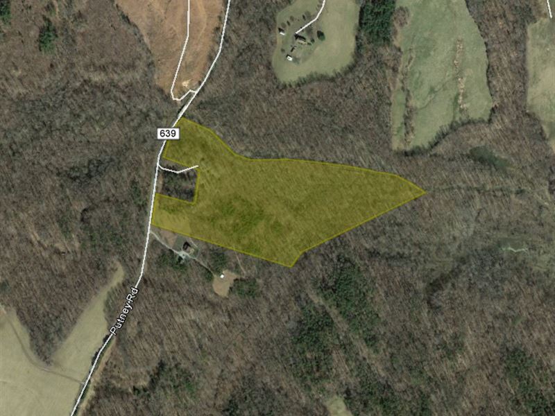 16.9 Acre Hunting Haven Land for Sale by Owner in Farmville