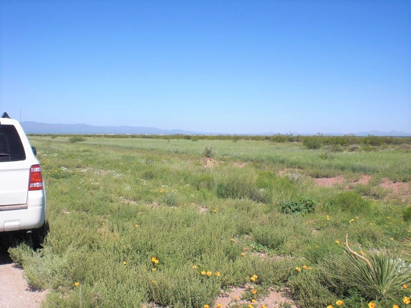 Prime, Access, Views, Ru-4, $175/Mo : Douglas : Cochise County : Arizona