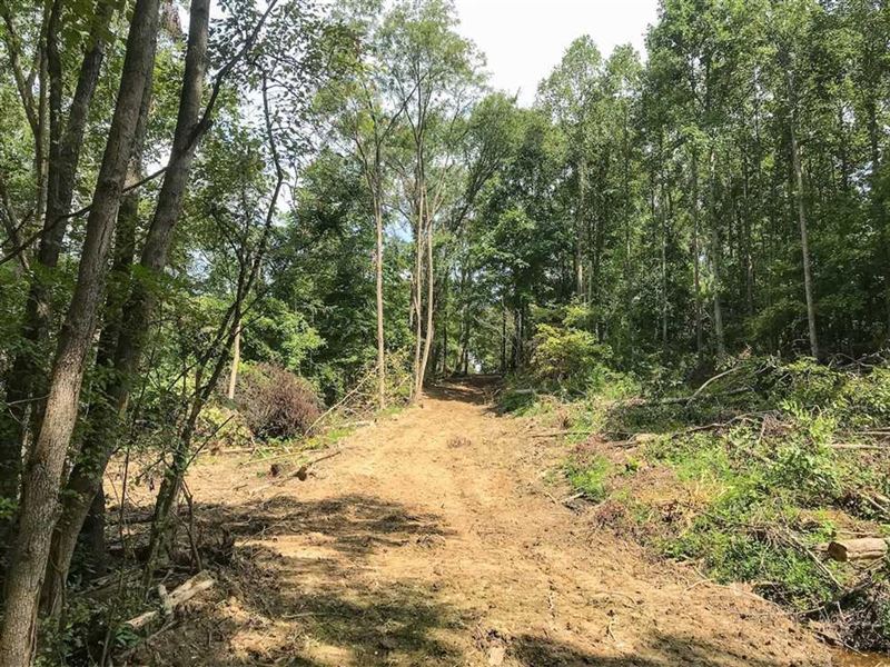 Tr 57, 10 Acres : Roseville : Perry County : Ohio