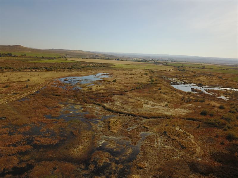 Private Waterfowl Hunting Retreat : Bruneau : Owyhee County : Idaho