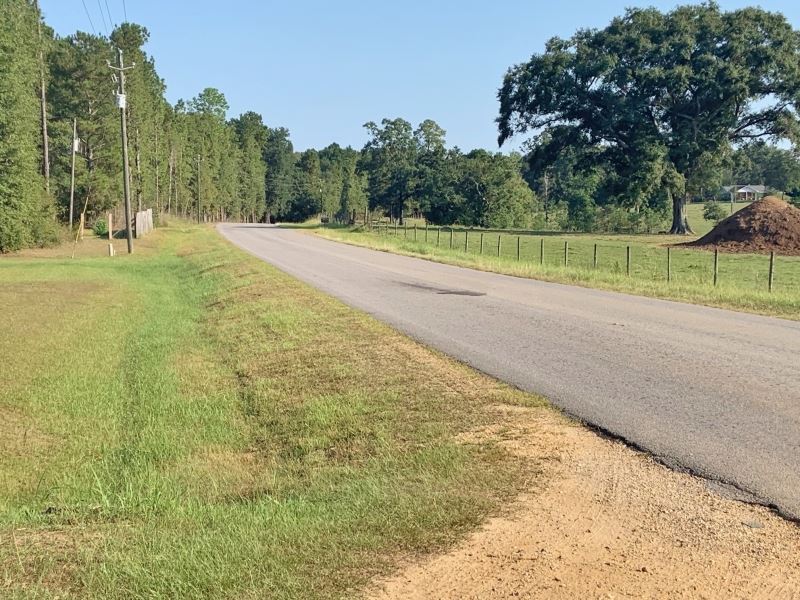 70 Acres Hunting, Development Land Land for Sale in Lucedale,