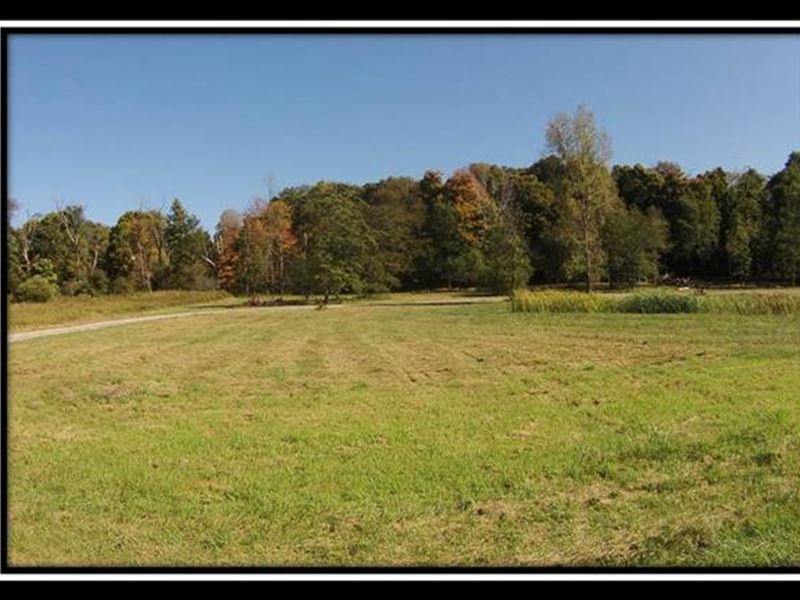 Beautiful Acreage W/Pond And Woods Land for Sale in Pleasantville