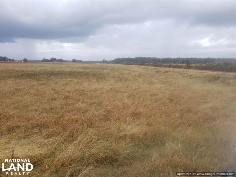Hunting And Farm Land Land for Sale in Crowder, Quitman County