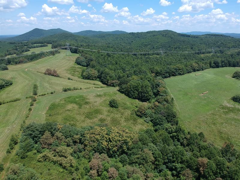 831 Contiguous Acres : Bassett : Franklin County : Virginia