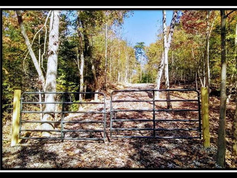 Erwin Hollow Tract 5 : Jackson : Jackson County : Ohio
