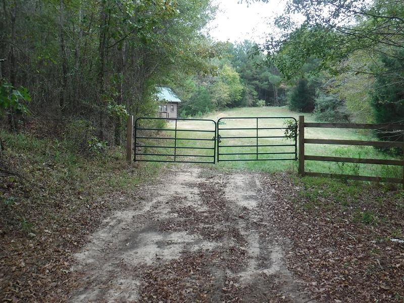 Hunting, Pine Timber with Cabin : Camden : Madison County : Mississippi