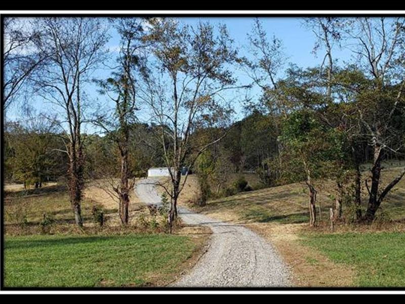 The Woods At Tar Hollow Tract 8 : Chillicothe : Ross County : Ohio