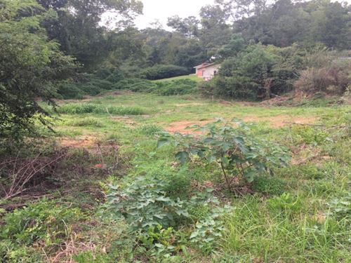 1.2 Acres In Rankin County In Brand : Brandon : Rankin County : Mississippi