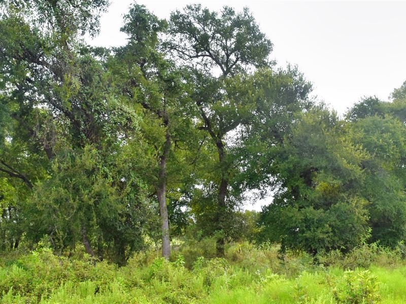 10 Ac S Of Austin, Financing : Red Rock : Bastrop County : Texas