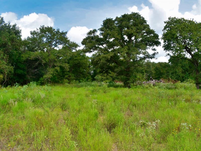 15.4 Acres South Of Austin Land for Sale in Red Rock, Bastrop County