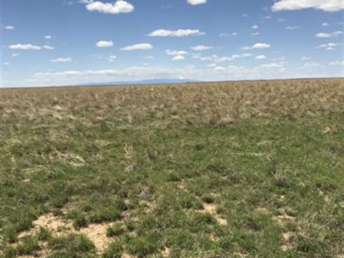 1000 Acres Of Return in Crp : Boone : Pueblo County : Colorado