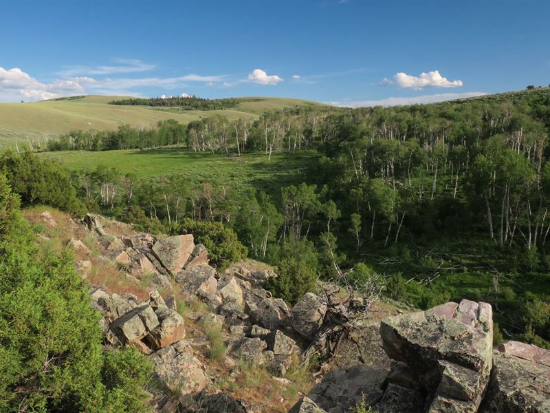 Cushman Creek Ranch : Encampment : Carbon County : Wyoming