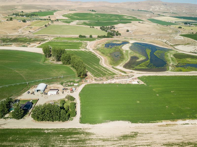 Private Wetlands & Hunting Ranch : Adrian : Malheur County : Oregon