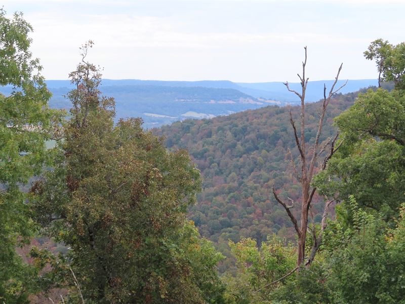 Homes With Land in Arkansas Land for Sale in Green Forest, Carroll