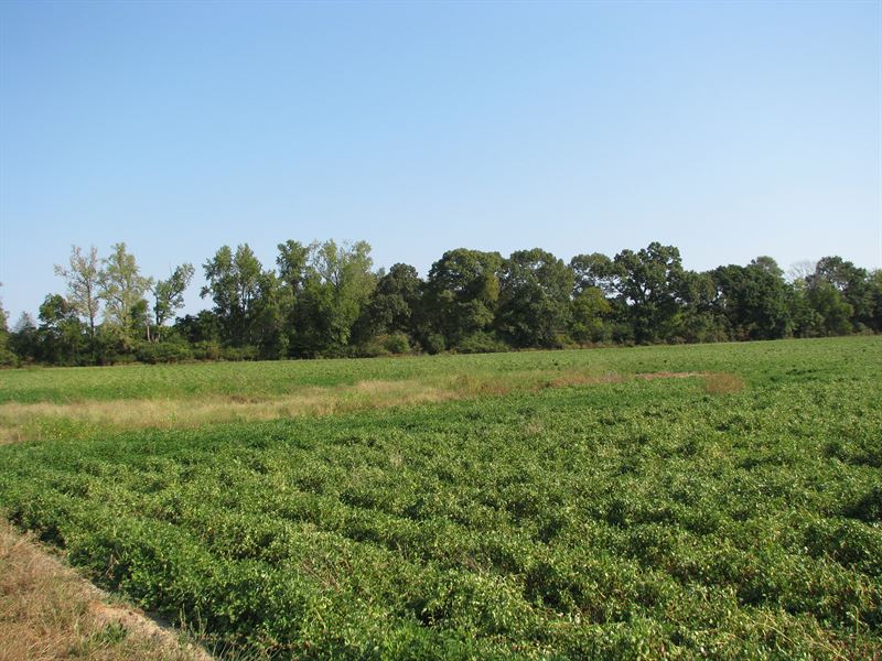 Beautiful Farm With Crop, Pasture Land for Sale in Mexia, Monroe