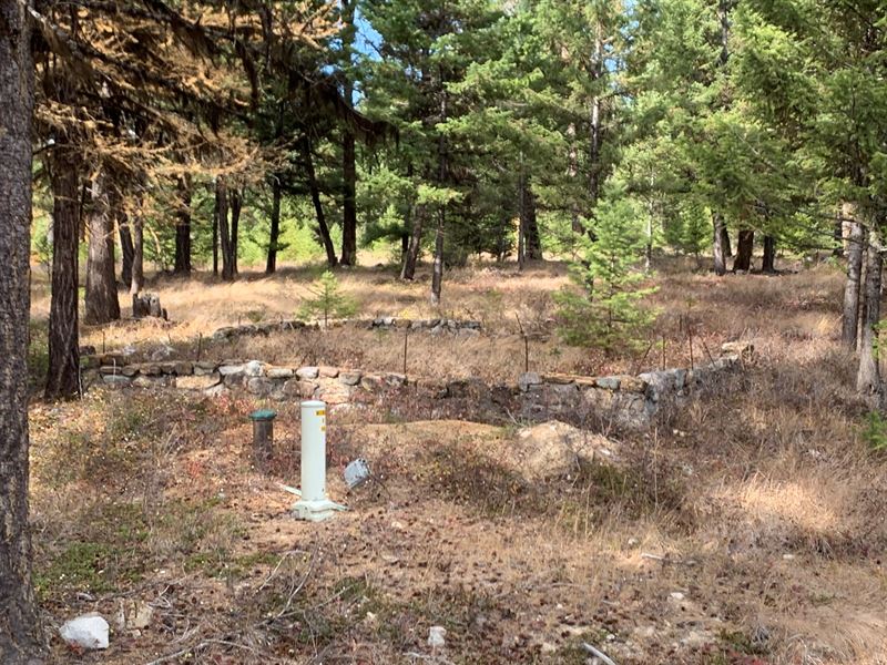 Secluded Ready To Build Land : Fortine : Lincoln County : Montana