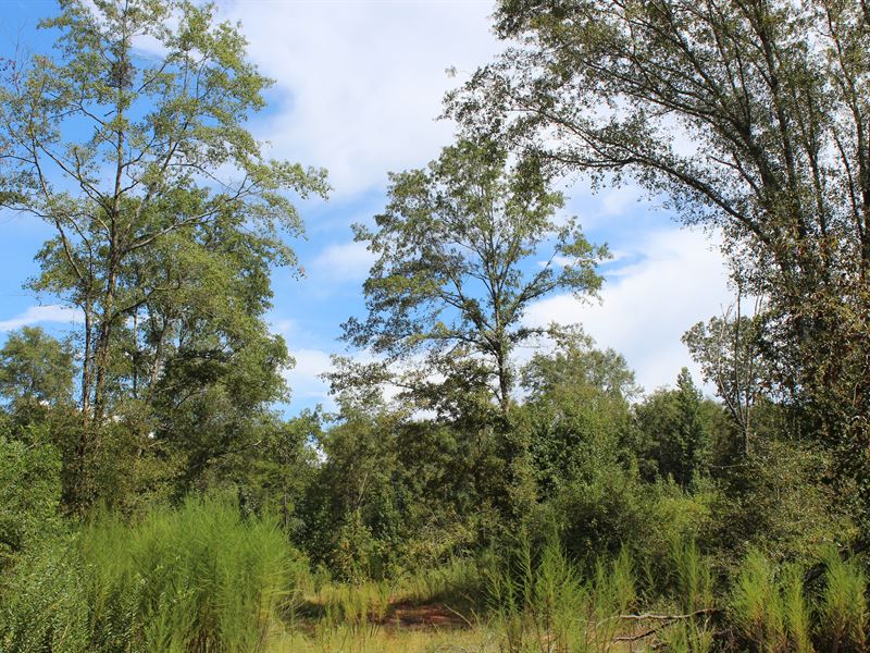 Prattville Mini Farm : Prattville : Autauga County : Alabama
