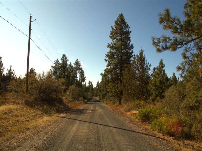 Power At Road, $160/Month : Bonanza : Klamath County : Oregon