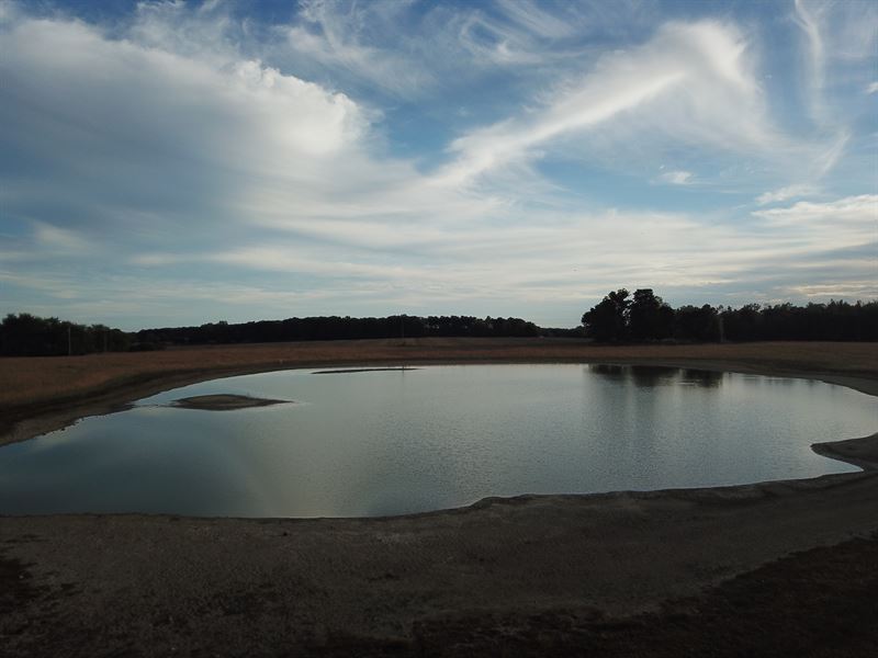 Large Pond and Approx, 38.72 +/- Ac : Manchester : Coffee County : Tennessee