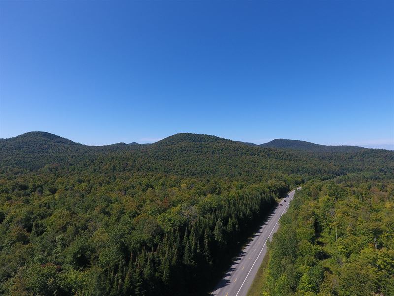 Rice Brook Forest : Duane : Franklin County : New York