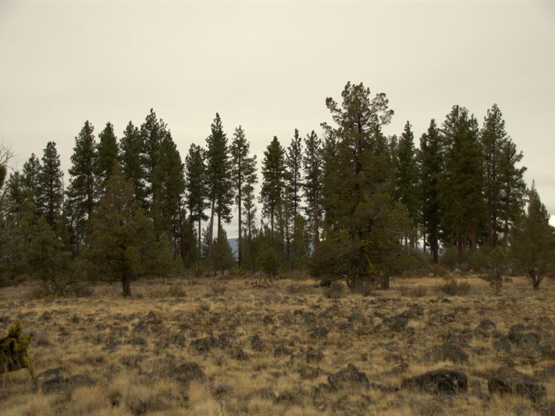 Private Corner Lot, $125/Month : Chiloquin : Klamath County : Oregon