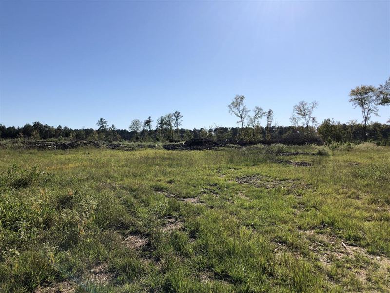 48 Acres Jersey, AR Hwy 160 : Jersey : Bradley County : Arkansas