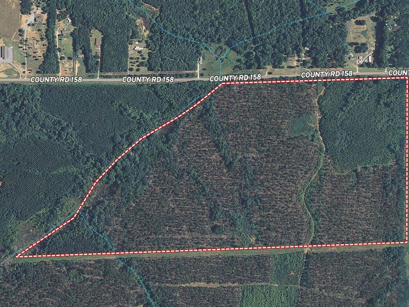99 Acres in Opelika, AL : Opelika : Lee County : Alabama