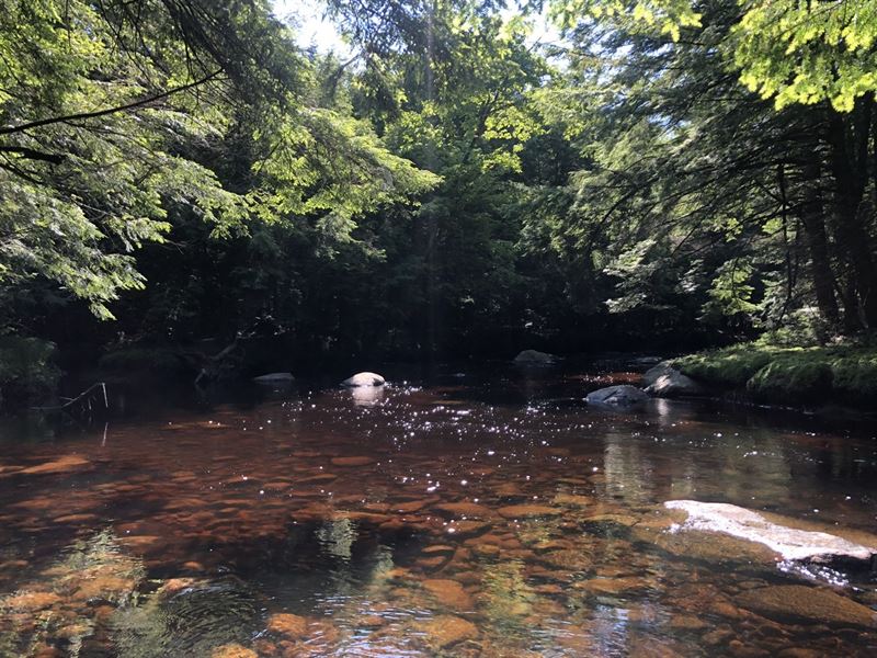 Little Black Creek, Adirondacks : Remsen : Oneida County : New York