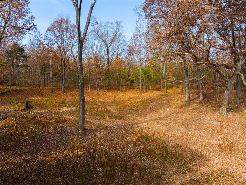 3 Acres, Ready to Build On, Cav : Cave City : Sharp County : Arkansas