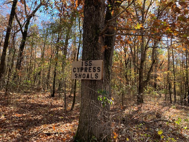 Little Red River Lot with Septic Pe : Pangburn : White County : Arkansas