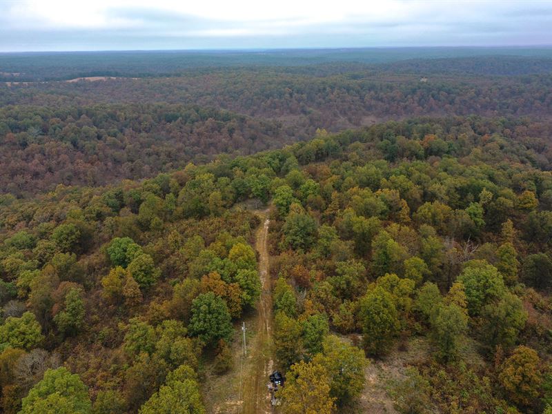 Macks Creek Ozark Beauty Camden Land for Sale in Macks Creek, Camden