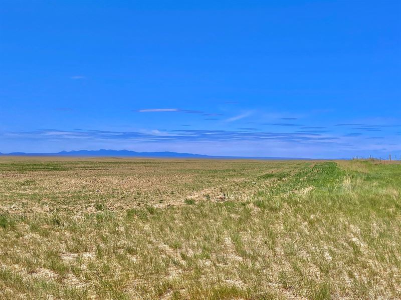 320 Acres Organic Farm Ground South : Malta : Phillips County : Montana