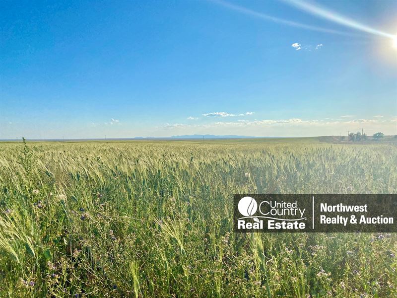Organic Farm Ground South Malta, MT : Malta : Phillips County : Montana