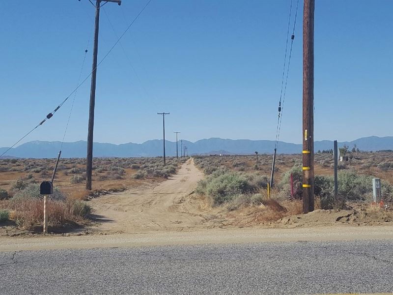 Nice, Good Access, Power, $285/Mo : Lancaster : Los Angeles County : California